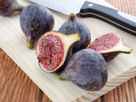 Black Mission Fig Tree Online