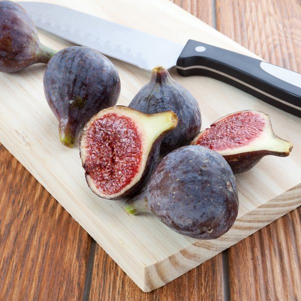 Black Mission Fig Tree Online