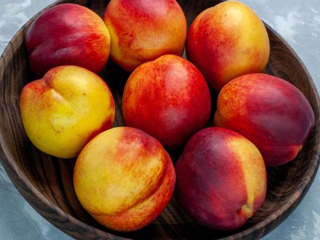 Sunraycer Nectarine Tree Online