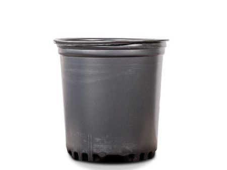 1 Gallon Plastic Plant Pots Hot on Sale