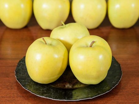 Golden Delicious Apple Tree on Sale