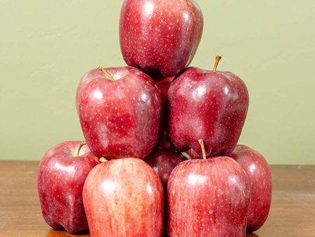 Red Delicious Apple Tree Hot on Sale