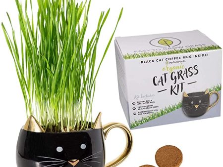 Organic Cat Grass Kit Online now