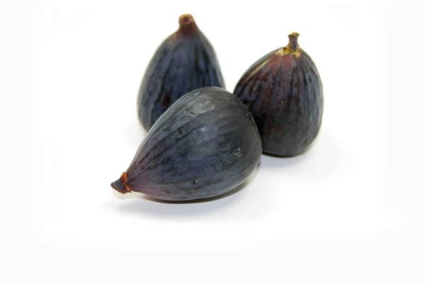 Black Mission Fig Tree Online