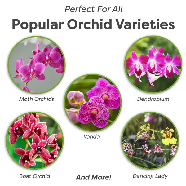 Organic Orchid Potting Mix on Sale