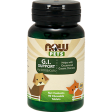 GI Support for Dogs Cats 90 chewable tab Online