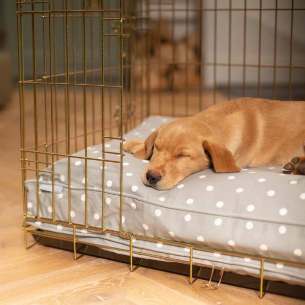 Gold Dog Crate with Cushion in Spots & Stripes by Lords & Labradors Online