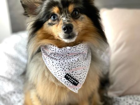 Cocopup London Blush Dalmatian Bandana For Discount