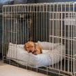 Cosy & Calming Puppy Crate Bed With Removable Covers in Regency Stripe by Lords & Labradors Online Sale