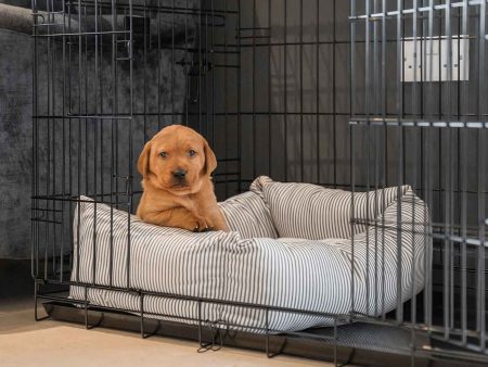 Cosy & Calming Puppy Crate Bed With Removable Covers in Regency Stripe by Lords & Labradors Online Sale