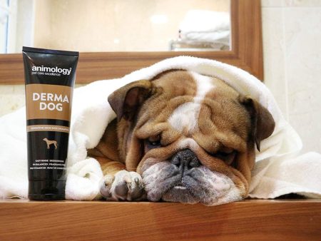 Animology Derma Dog Shampoo For Discount