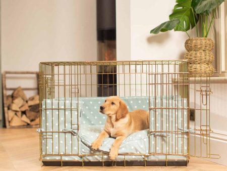 Gold Dog Crate with Cushion & Bumper in Duck Egg Spot by Lords & Labradors Online Sale