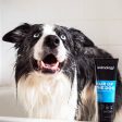 Animology Hair of the Dog Shampoo Online Hot Sale