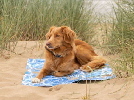 All For Paws Chill Out Cooling Mat For Discount