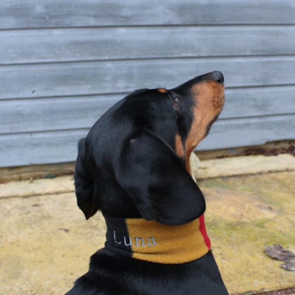 Dachshund Snood by Lords & Labradors For Sale