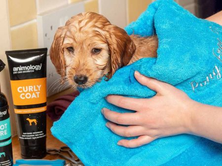 Animology Curly Coat Dog Shampoo Sale