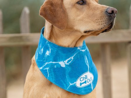 All For Paws Chill Out Ice Bandana For Discount