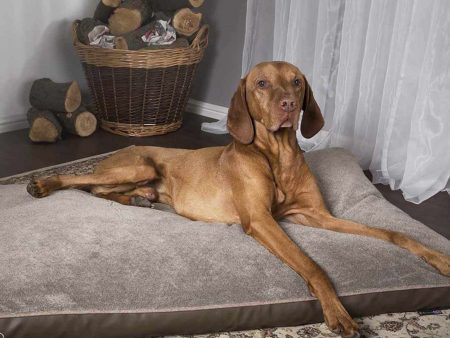 Scruffs Chateau Orthopaedic Dog Mattress Online now