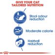 Royal Canin Home Life Indoor 27 Poultry Cat Food 4KG Fashion