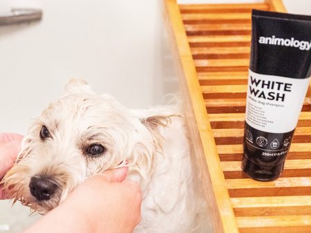 Animology White Wash Dog Shampoo Supply