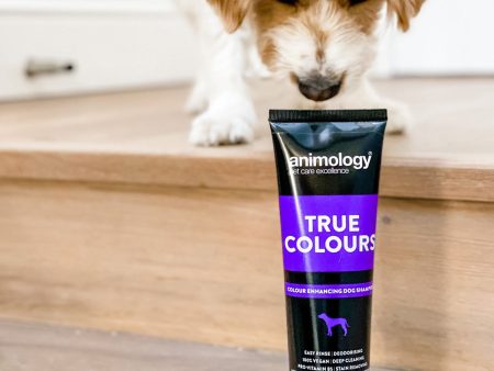 Animology True Colours Dog Shampoo For Cheap