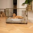 Gold Dog Crate with Cushion in Spots & Stripes by Lords & Labradors Online