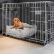 Cosy & Calming Puppy Crate Bed With Removable Covers in Regency Stripe by Lords & Labradors Online Sale