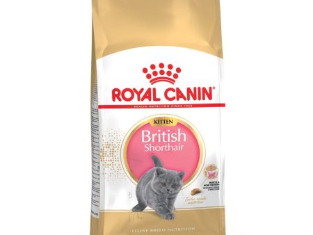 Royal Canin British Shorthair Kitten Dry Food 2KG on Sale