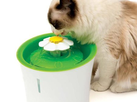 Catit Flower Fountain Online now